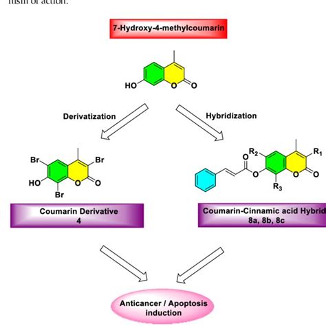 Design of coumarin derivatives and coumarin-cinnamic acid hybrids as... | Download Scientific ...