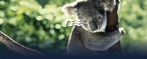 The Best Australia and New Zealand Cruise Deals