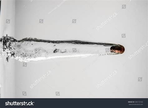 5 Ballistic gel Images, Stock Photos & Vectors | Shutterstock