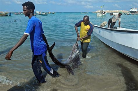 Puntland radio station director contends with death threats followed by ...