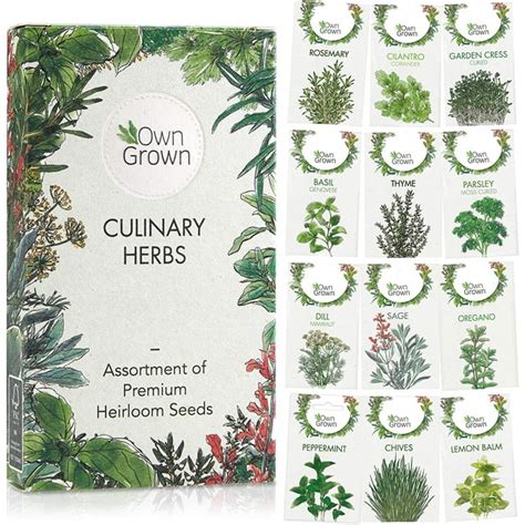 Be Great Premium Herb Garden Seeds: 8000 Variety Pack (12x) for ...