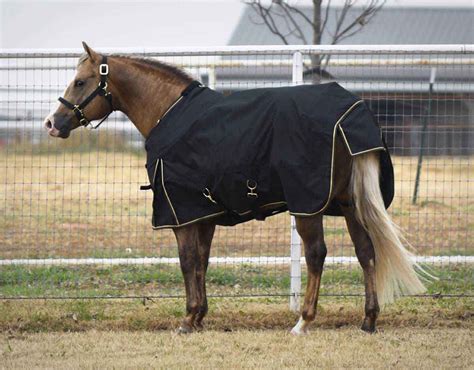 Medium Weight Waterproof Horse Blanket | Blog Dandk