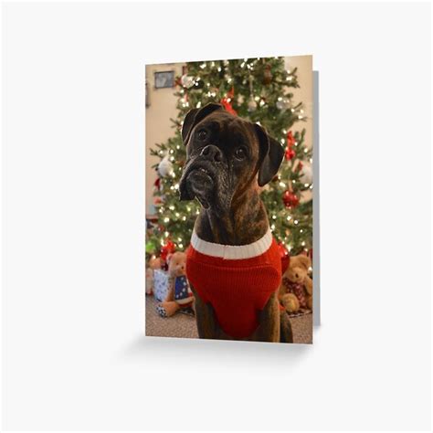 Boxer Dog Greeting Cards | Redbubble