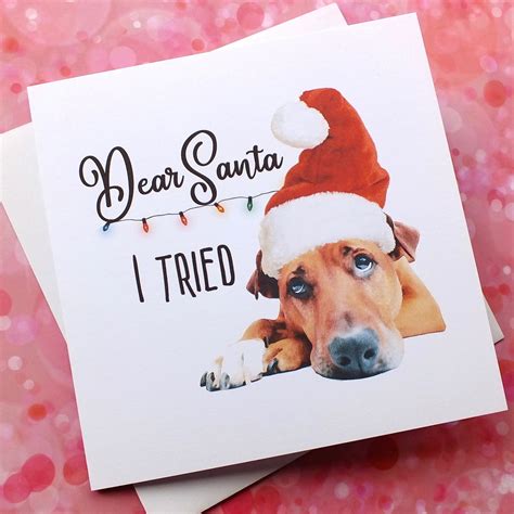 Funny Dog Christmas Cards | " I Tried " | Free Delivery – Bright Heart ...