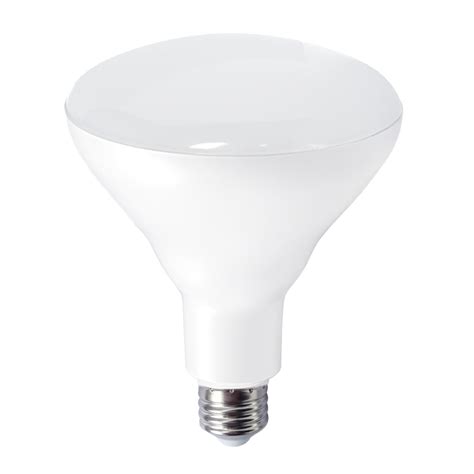 LED Filament Bulb - ST21 - 60 Watt Equivalent - E26 - Dimmable – Green ...