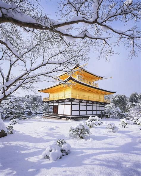 5,956 個讚，84 則留言 - Instagram 上的 Japan Awaits（@japanawaits）：「 Gold covered in snow 🤩 🇯🇵🇯🇵🇯🇵 ...