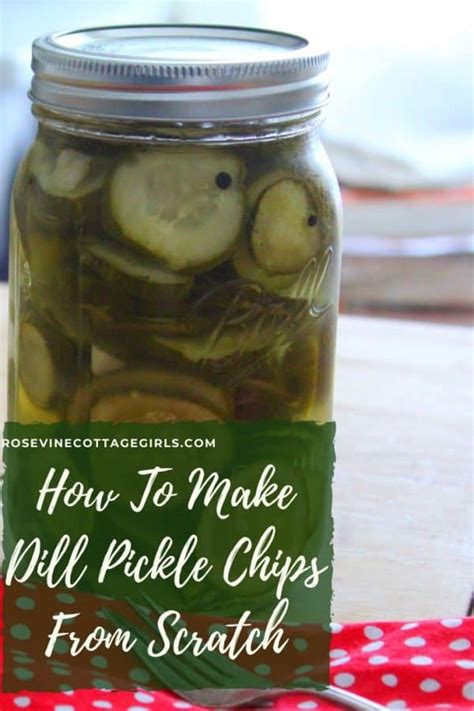 Homemade Dill Pickle Chips Recipe