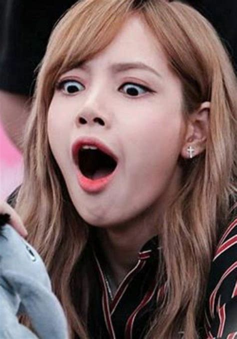 Memes Do Blackpink, Memes Funny Faces, Blackpink Funny, Funny Kpop ...