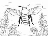 Buzzing Bumblebee Coloring Design  Page sketch template