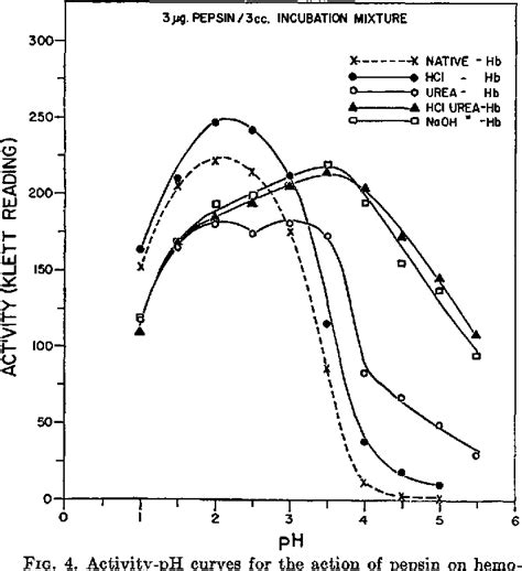 [PDF] Studies on the optimum pH for the action of pepsin on "native" and denatured bovine serum ...