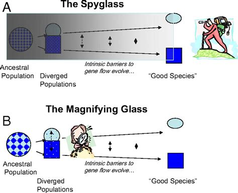 Natural selection in action during speciation | PNAS