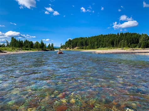 Best Trout Rivers in Montana | Montana Fishing Guides