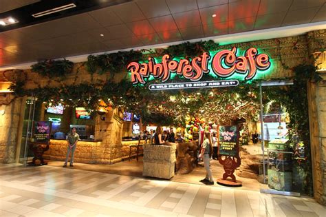 Family-Friendly Rainforest Cafe Opens at Harmon Corner