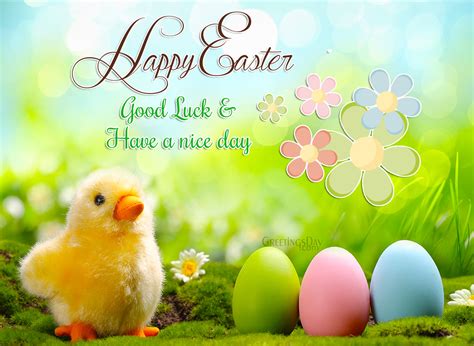 Happy Easter - Best Images, GIFs & Greetings. ⋆ Easter ⋆ Greeting Cards ...