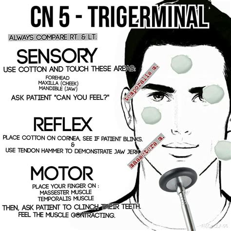 Cranial Nerve 2