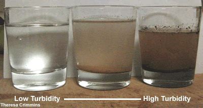 Turbidity - Stream Analysis