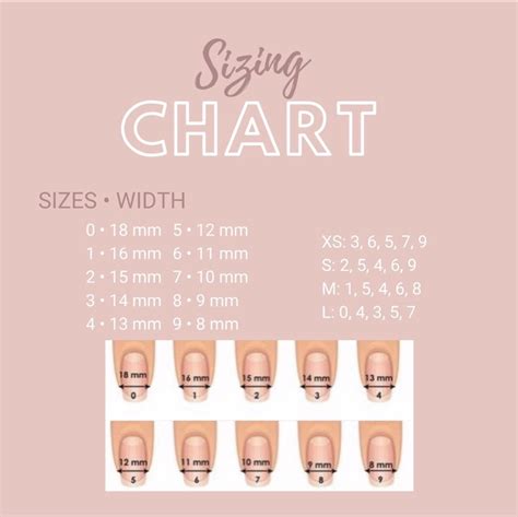 Size Chart • Press On Nails | Nail sizes, Press on nails, Glue on nails