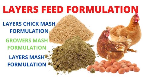 Layers Feed Formulation| How To Make Poultry Feed at Home At Home - YouTube