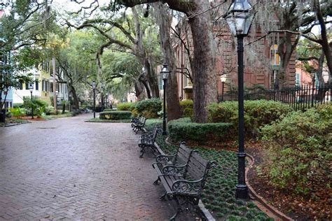 College of Charleston: Acceptance Rate, SAT/ACT Scores, GPA