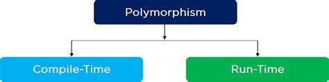 Polymorphism java example shape of objects - Boshealth