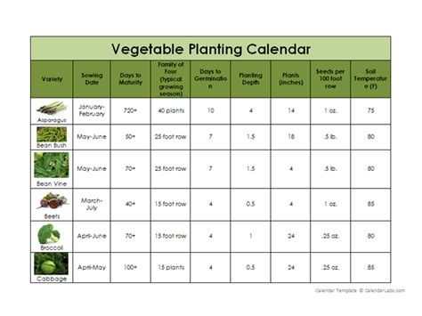 Printable Vegetable Planting Calendar - 2024 CALENDAR PRINTABLE