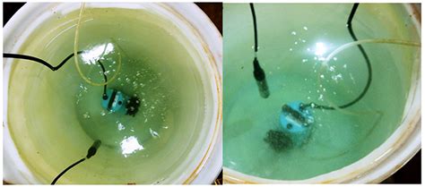 Testing micro-nanobubble generating device at different salinities ...