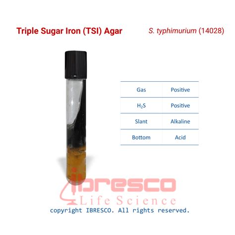 Triple Sugar Iron (TSI) Agar | ibresco