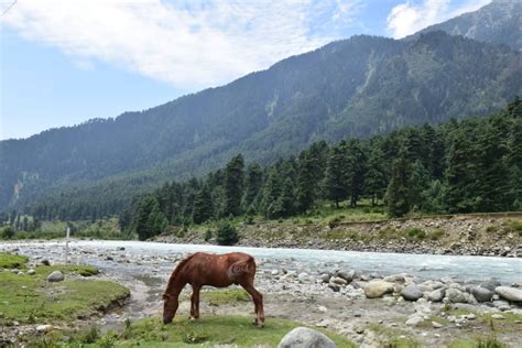 Budget Trip to Valley of Kashmir in India