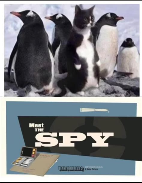 Meet the spy 2020 remaster : r/tf2memes