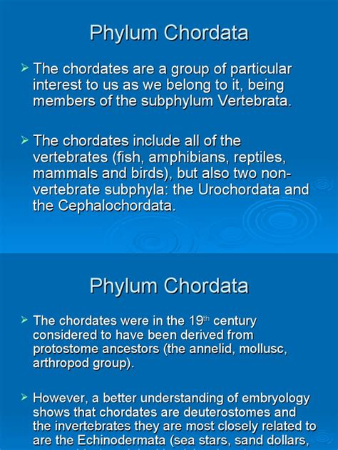 Chordate General Characteristics | PDF