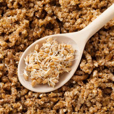 The Nutritional Benefits of Sprouted Grains | Blog | BAKERpedia