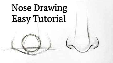 How To Draw A Simple Nose