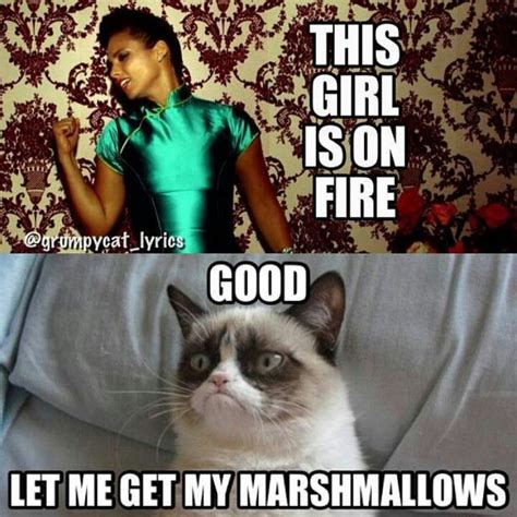 Grumpy Cat Coronavirus Memes - Funny Cats