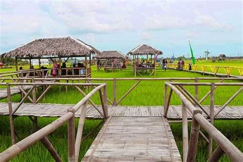 8 Gambar Kampung Wisata Sawah: Lokasi Adem Tiketnya Pun Murah! - Pariwisata Sumut