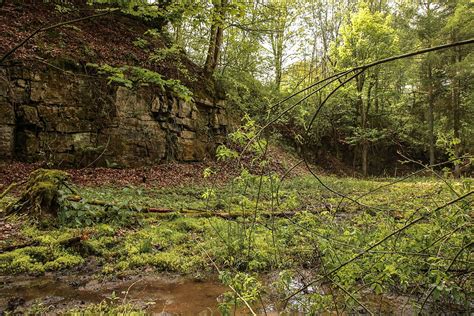 The Battle of the Teutoburg – Time Travel Rome