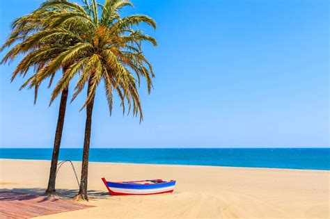 Fishing boat and palm trees on sandy beach - online puzzle