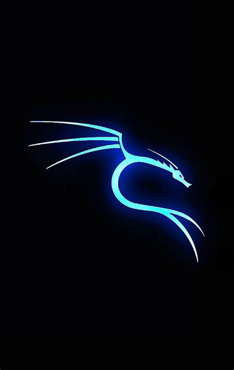 Details more than 90 kali linux hacker wallpaper best - vova.edu.vn