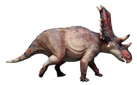 10 Horned Dinosaurs That You Should Know | My Dinosaurs