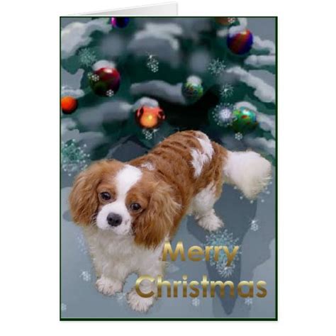 Cavalier King Charles Spaniel Christmas Gifts Card | Zazzle