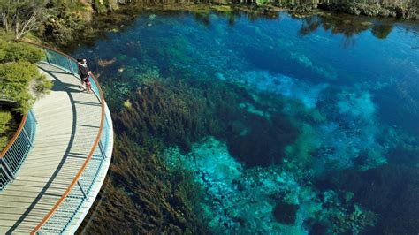 Enjoy a Tranquil Walk around Te Waikoropupu Springs