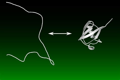 Protein Folding