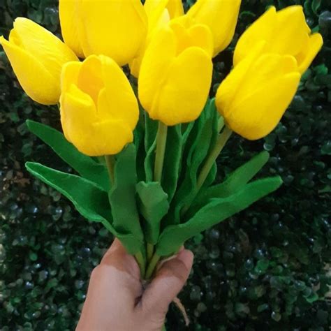 Paling Bagus 14+ Gambar Bunga Tulip Warna Kuning - Gambar Bunga Indah