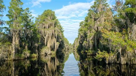 Controversial mine could threaten iconic Okefenokee Swamp