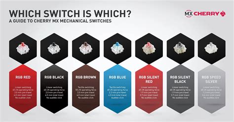 Anatomy of a Keyboard Photo Gallery - TechSpot