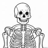 Detailed Human Skeleton Coloring Page 40964 32359 sketch template
