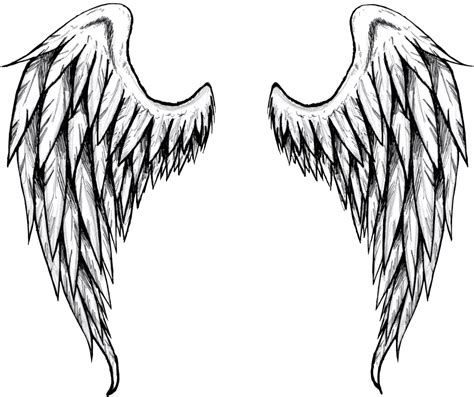 Angel Wings Drawing - (1023x873) Png Clipart Download