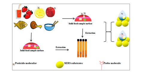 Insecticides And Pesticides In Fruits And Vegetables