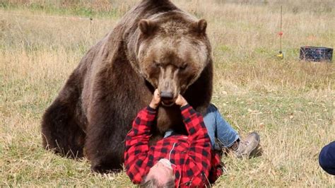 Tips to Survive a Bear Attack Video - ABC News