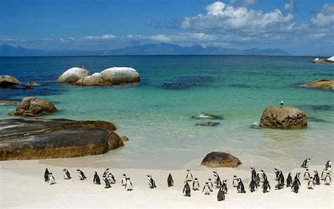 boulders-beach - Cape Town Vespa Rentals