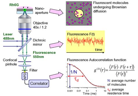 Time Resolved Fluorescence Spectroscopy